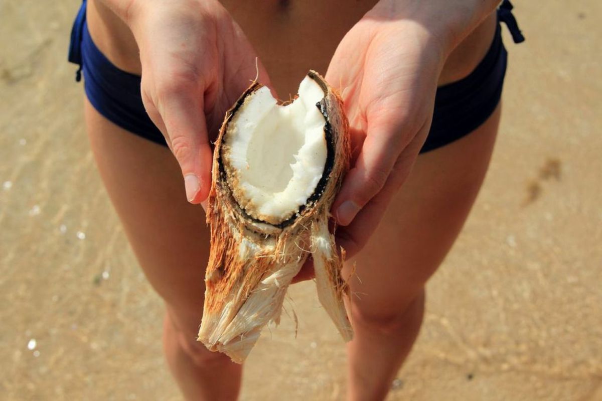 coconut