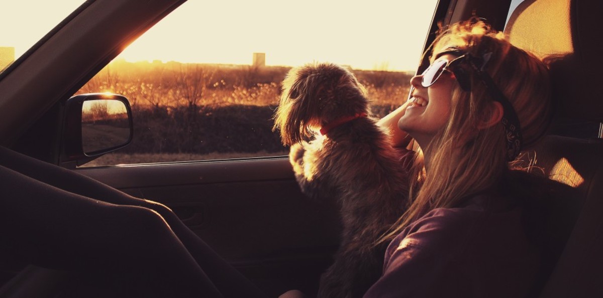 Nap, navigate or just take your eyes off the road for a while: That's the beauty of a joint road trip. Photo: lizzieallenphoto/Twenty20