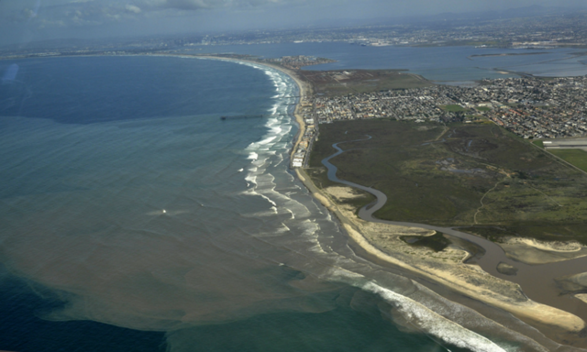 72 hour wildcoast