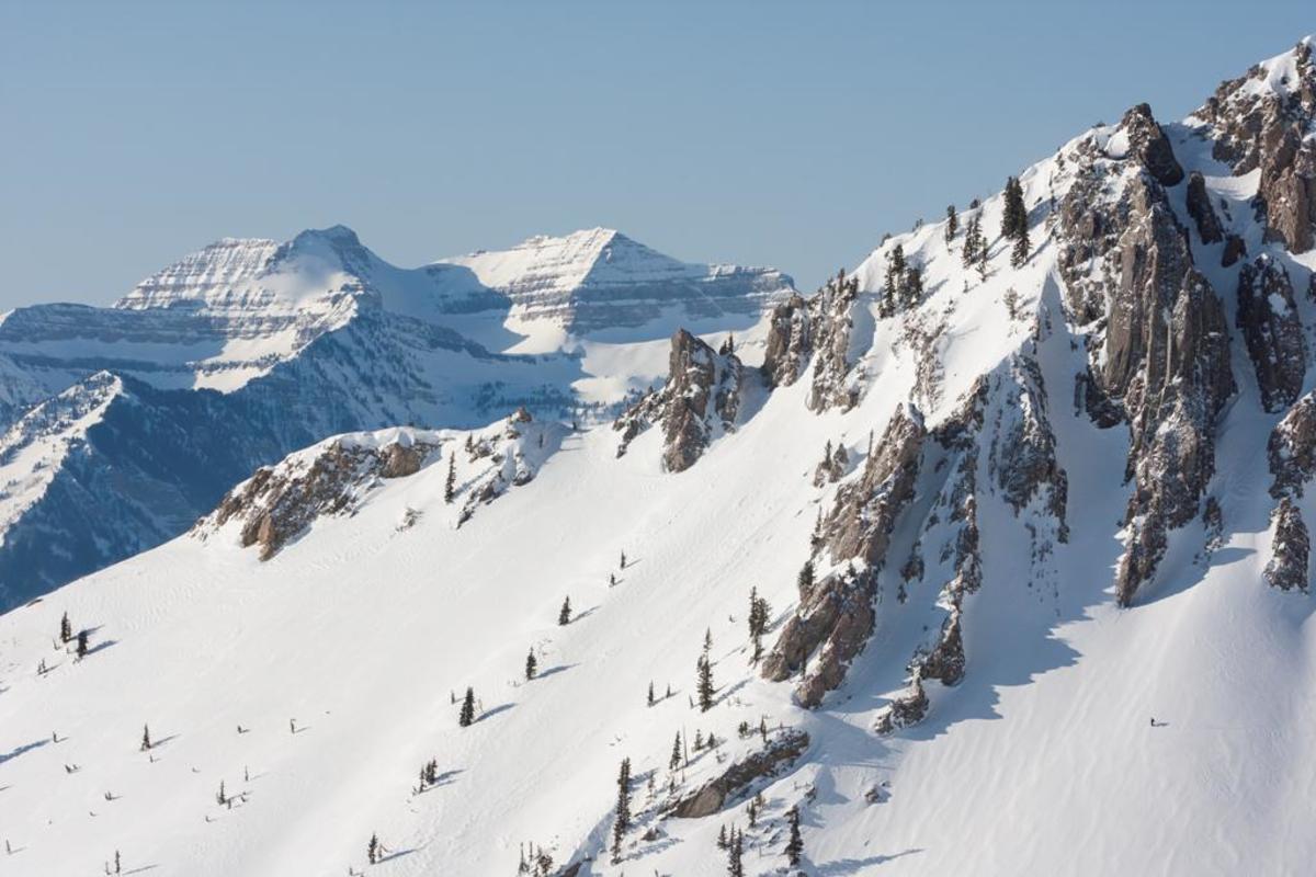 old friend snowbird ii