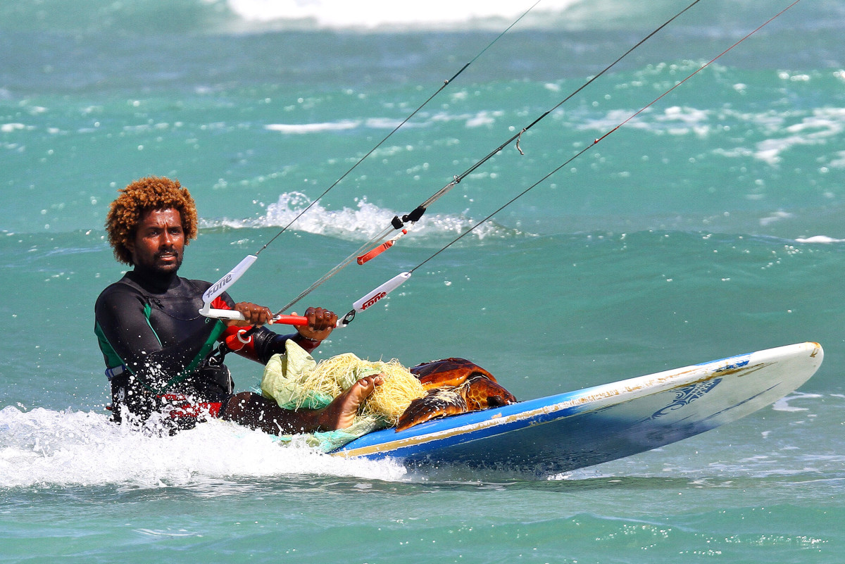 kitesurfer rescues sea turtle