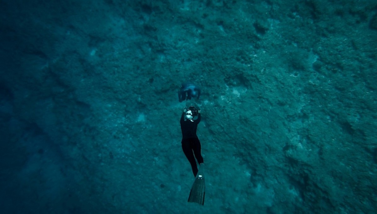 Ocean Gravity