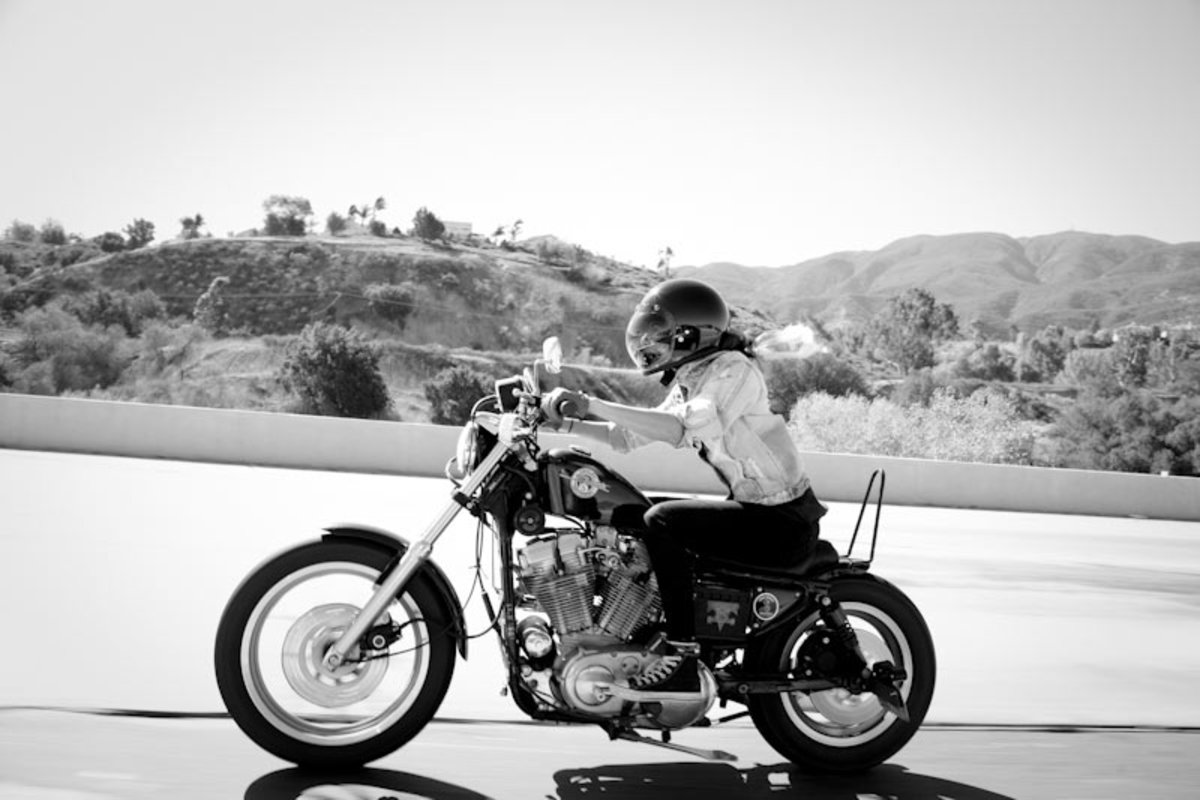 Babesinborrego 7549
