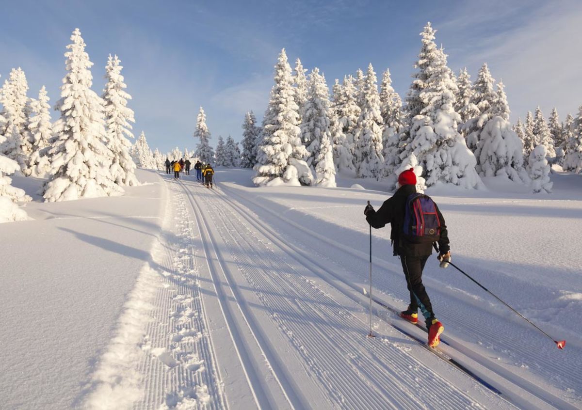 Cross-country skiing