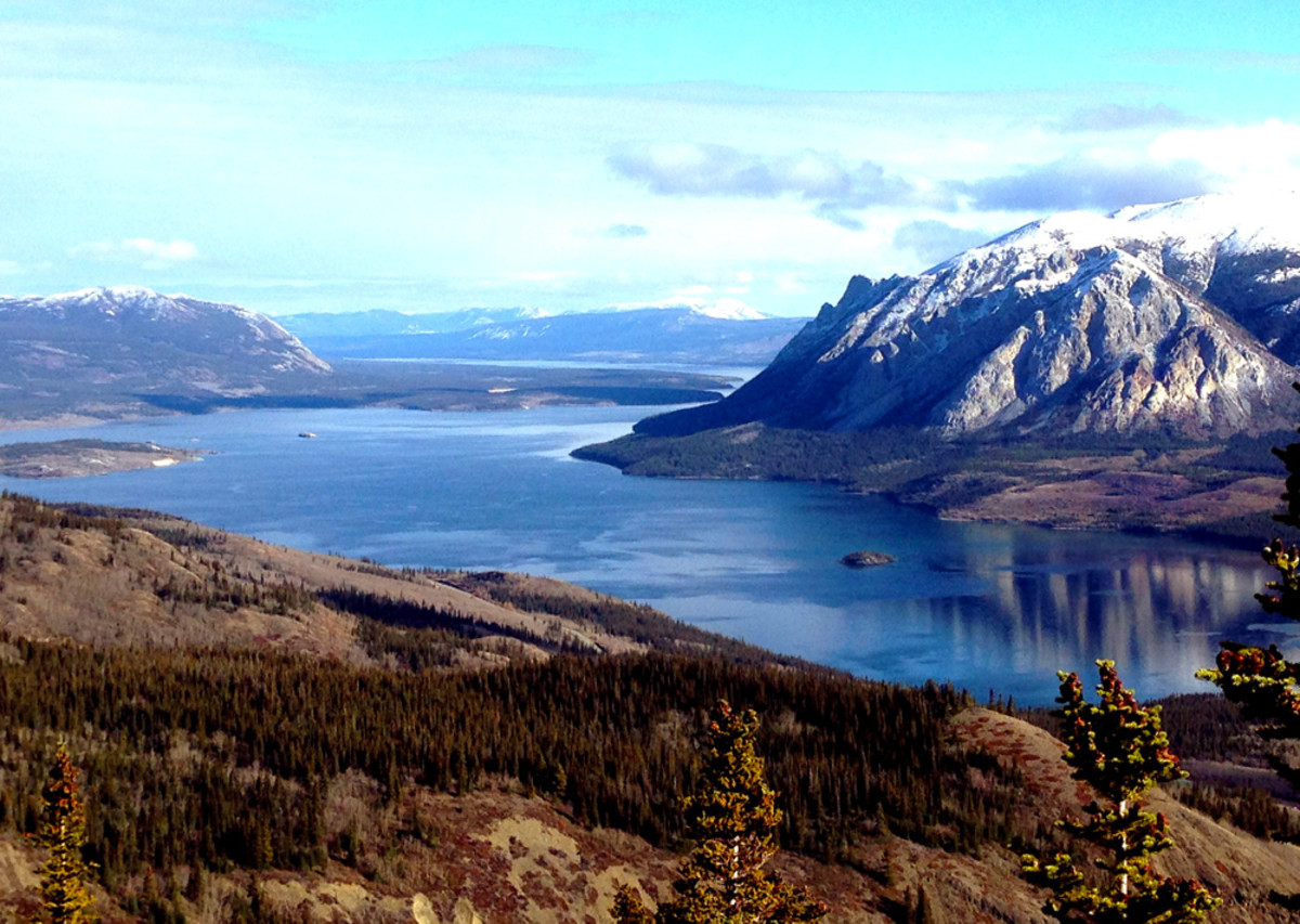 Montana Mountain has become known as much for its mountain biking potential as it has for its views; Photo courtesy of Yukon Wild