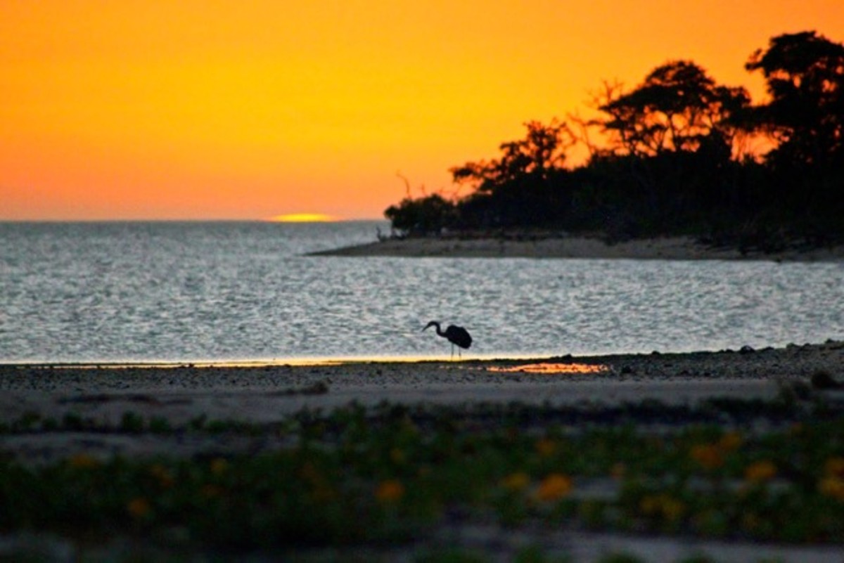 Fellow dawn angler.