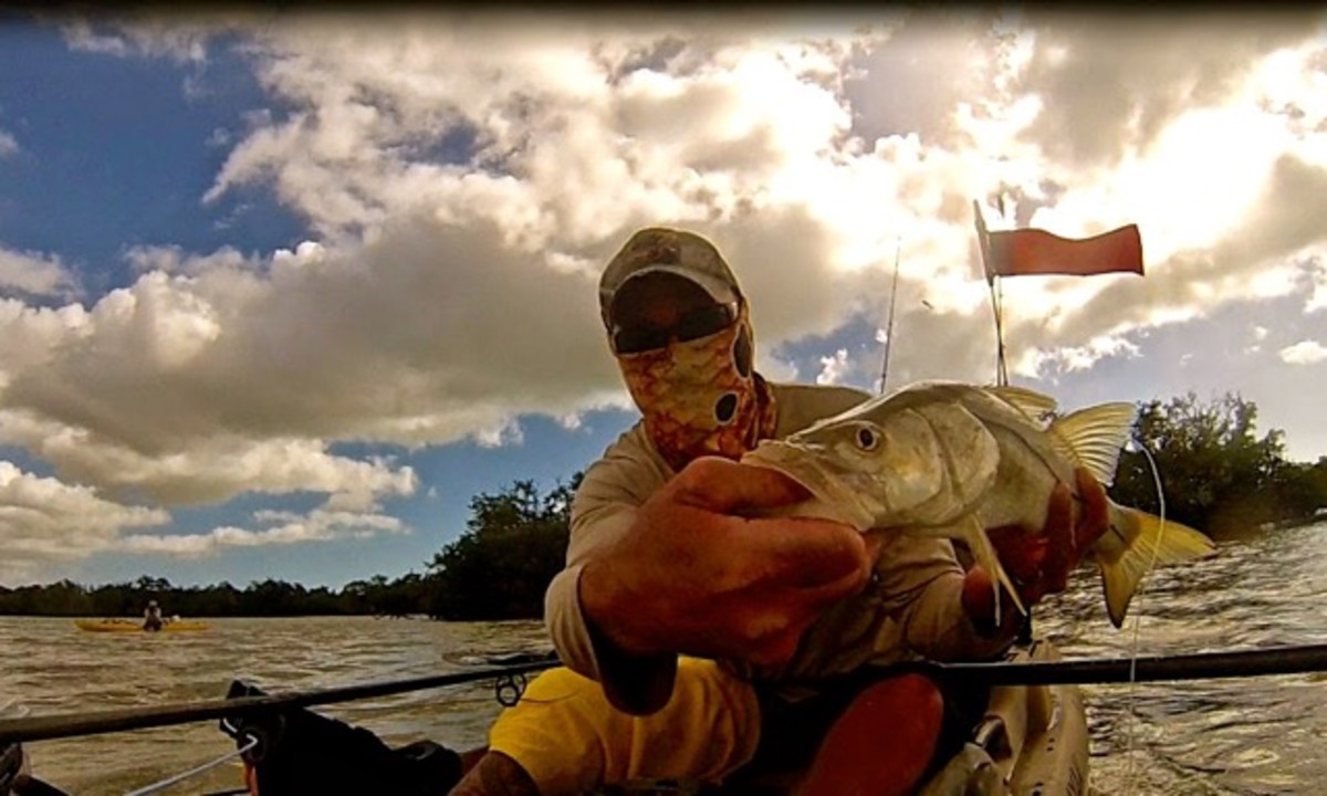 My first snook on fly.