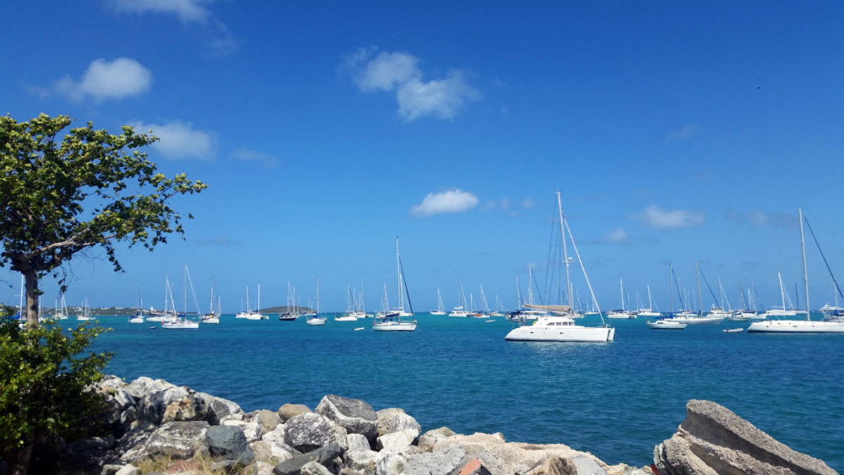 regatta1