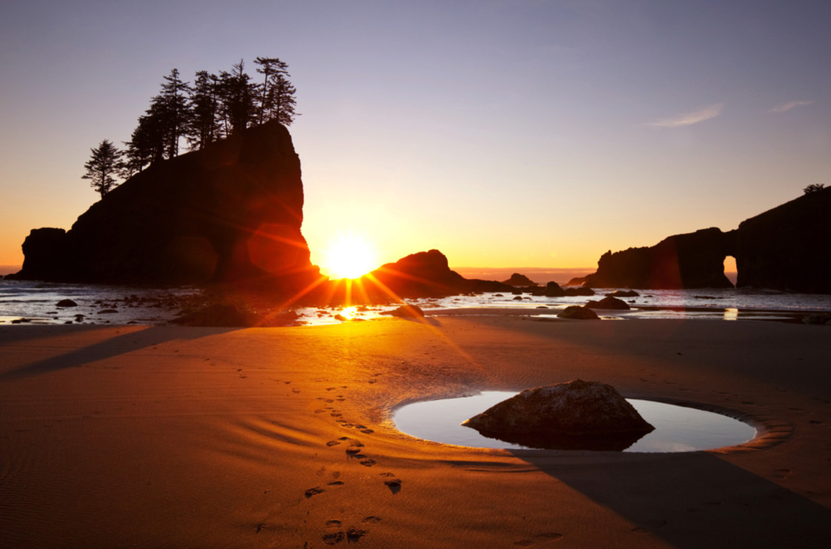 The desolate beaches of Olympic National Park are a dream for kids and parents alike. Photo courtesy of Shutterstock.com