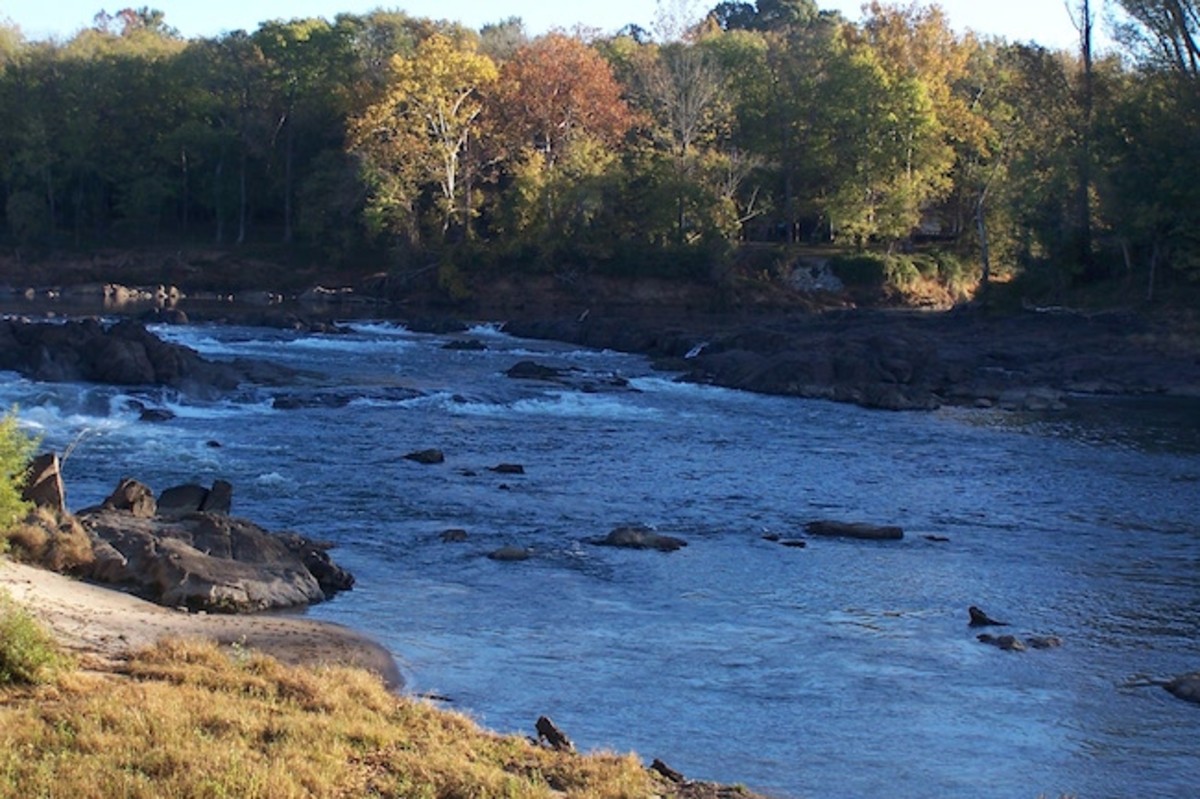 Roanoke-River-Paddle-Trail