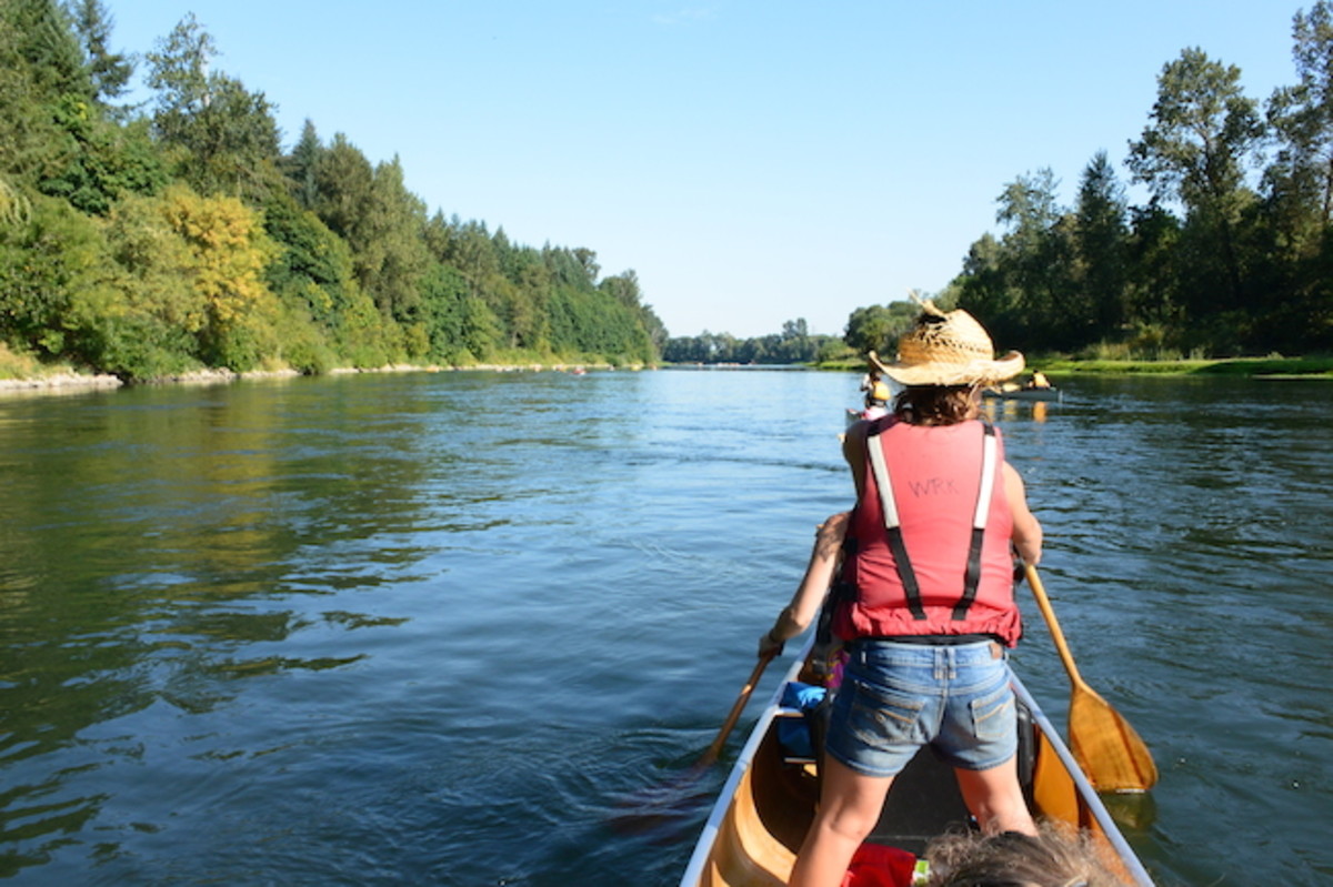Calm water and green banks make the for a relaxing paddle down the Willamette.