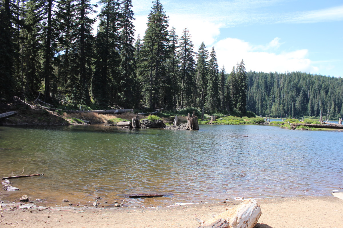 Goose Lake Campground is Washington.