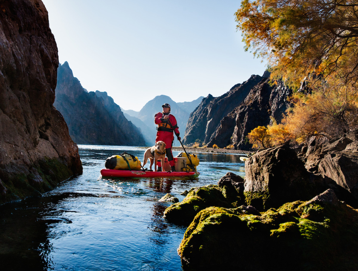 dog, kayaking, pooch, paddling, how-to-kayak-dog