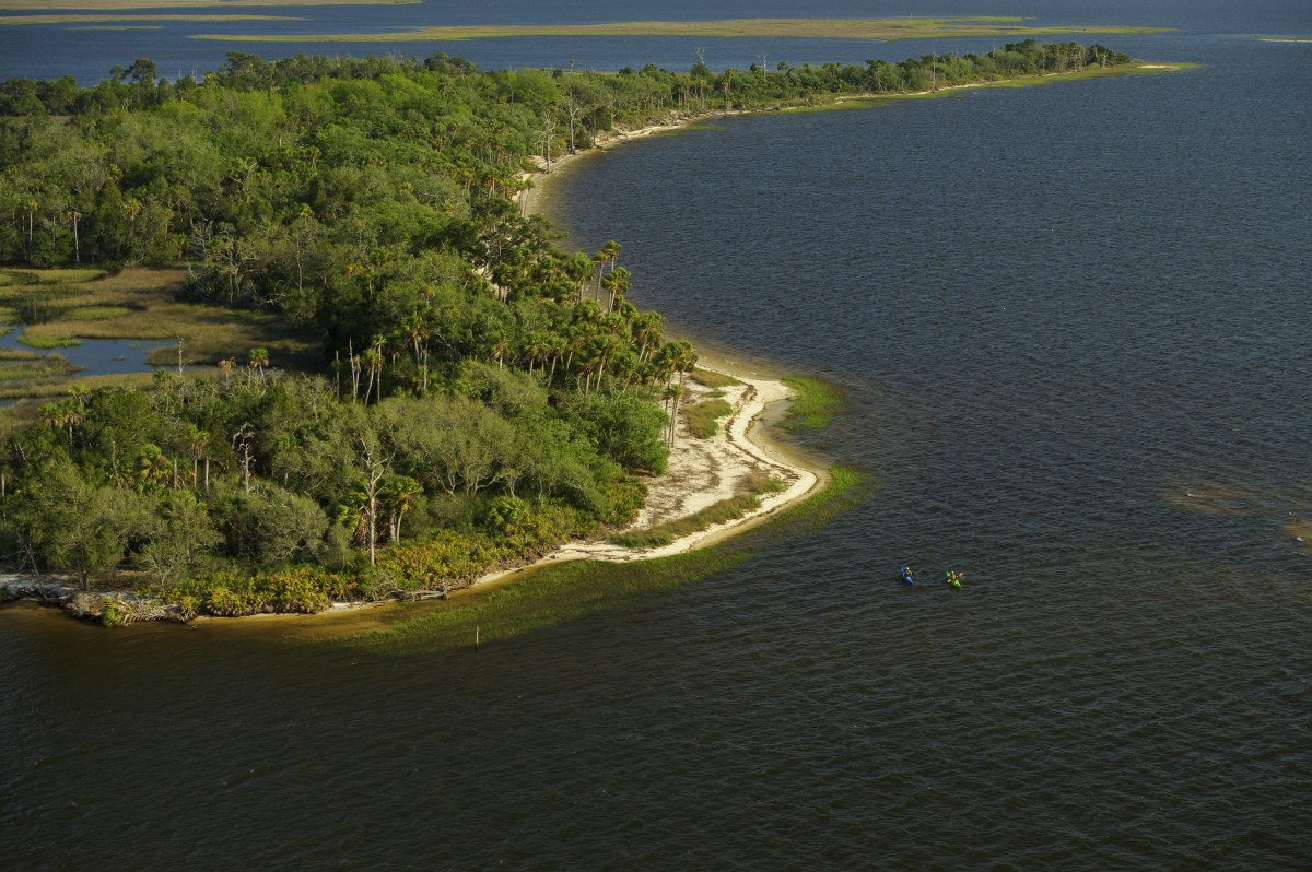 Florida Paddle Kayak Day Trip Tallahassee
