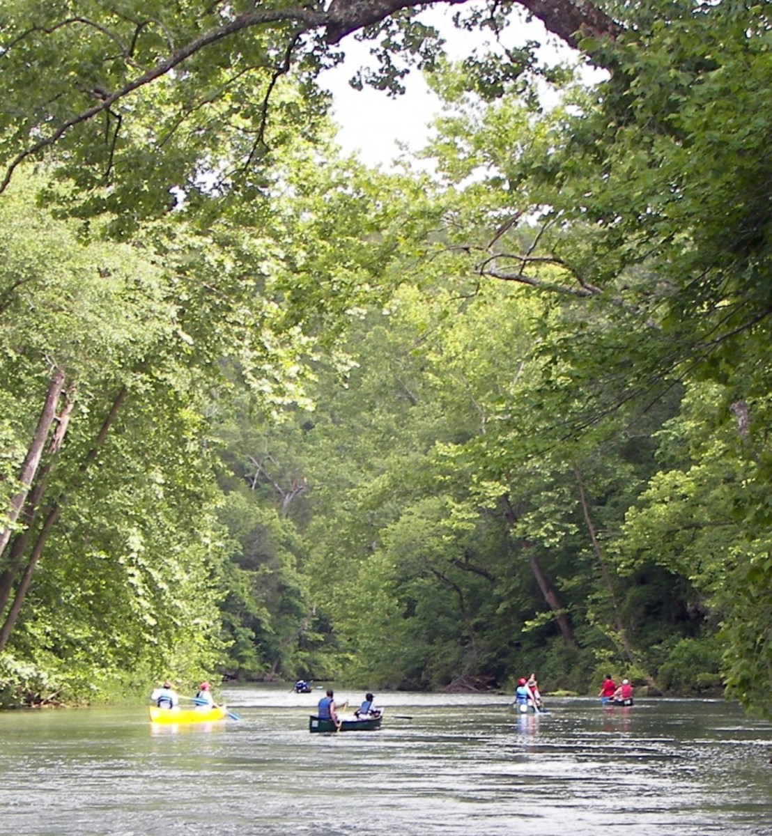 "Current River, MO. Photo by Kbh3rd / Wikipedia