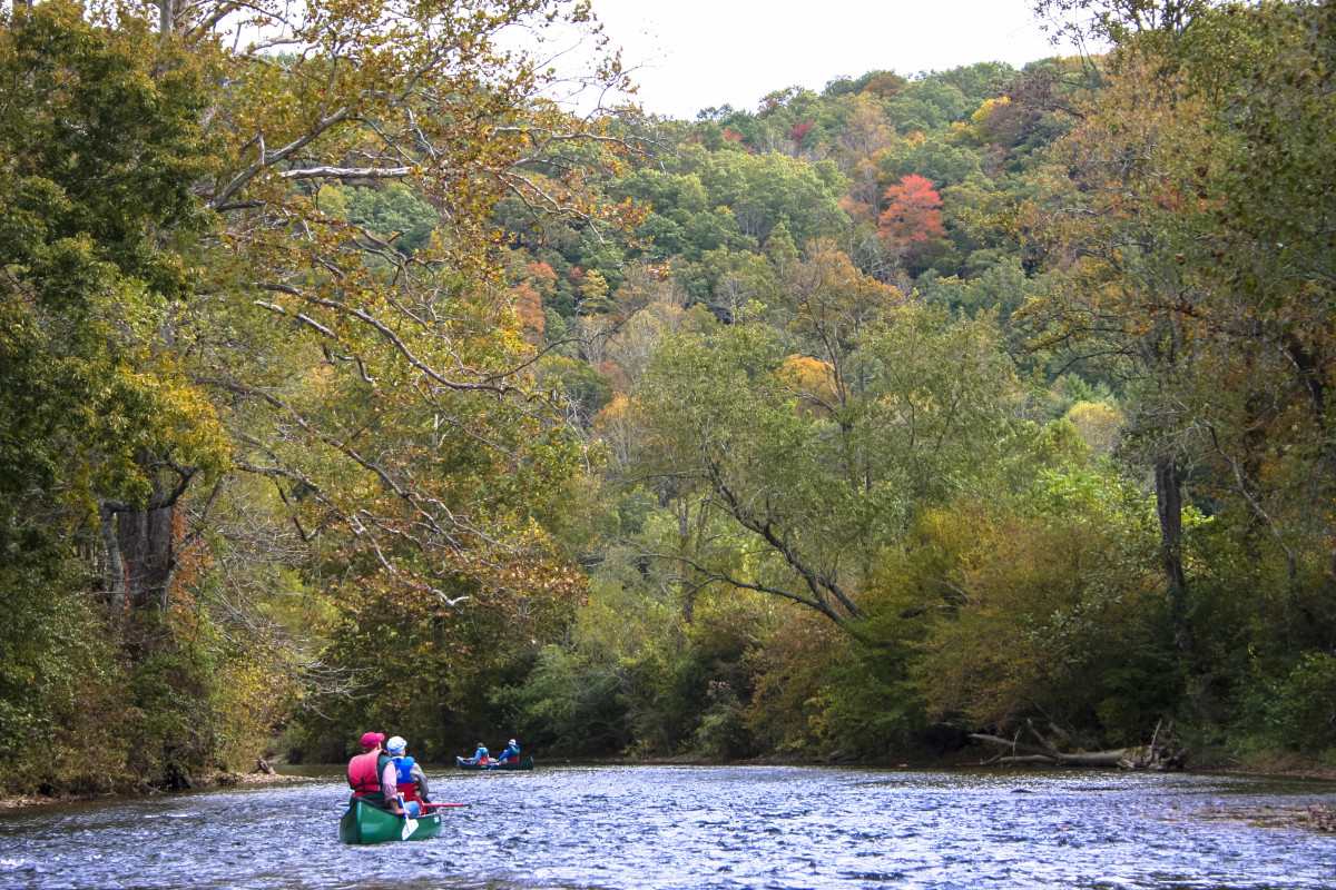 Paddling North Carolina Day Trip Asheville Canoe Kayak