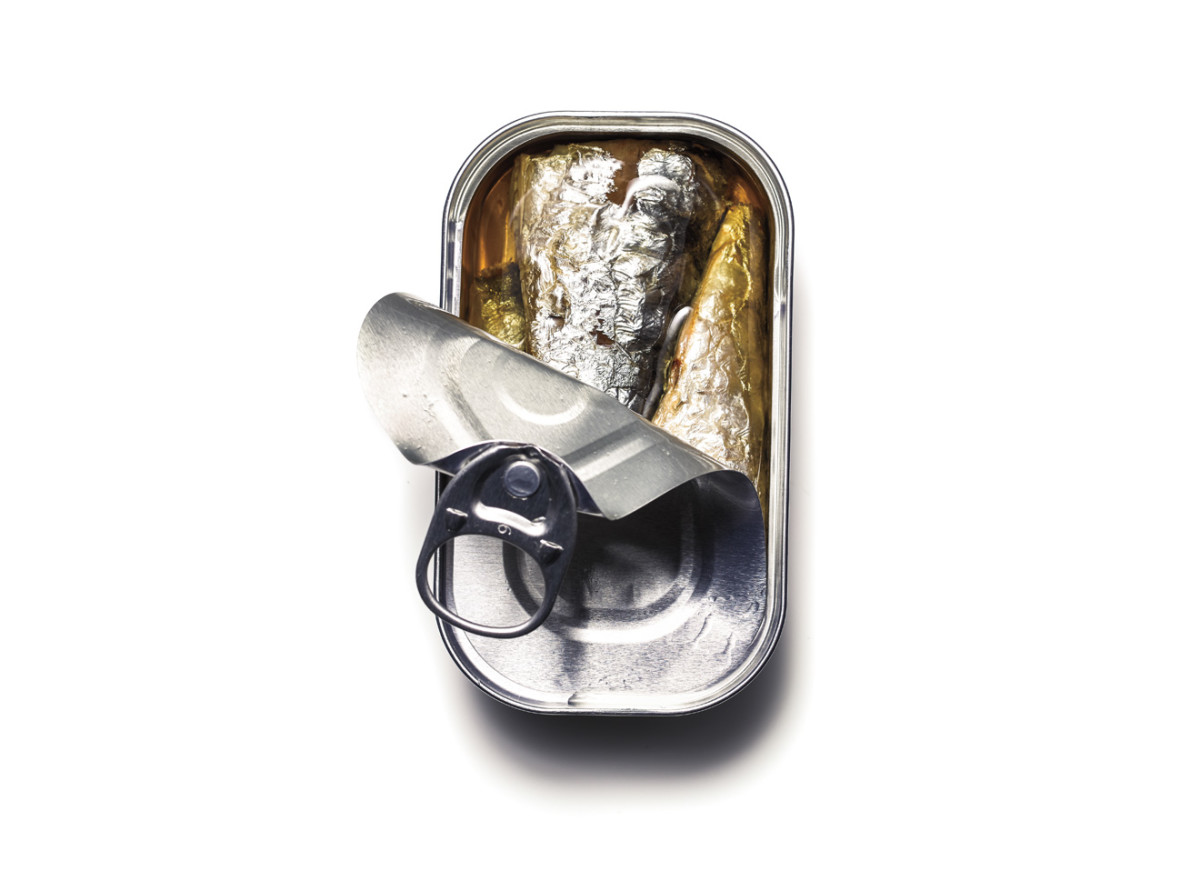 Canned sardines