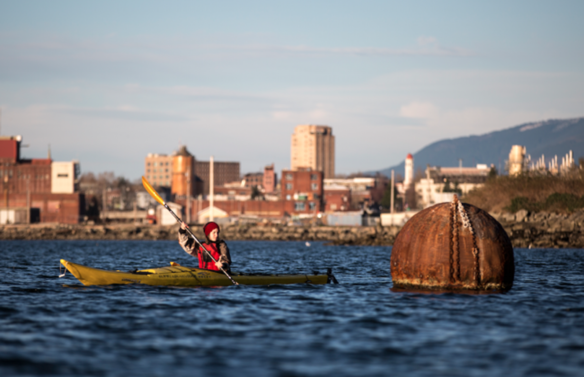 bellingham-washington sea-kayaking