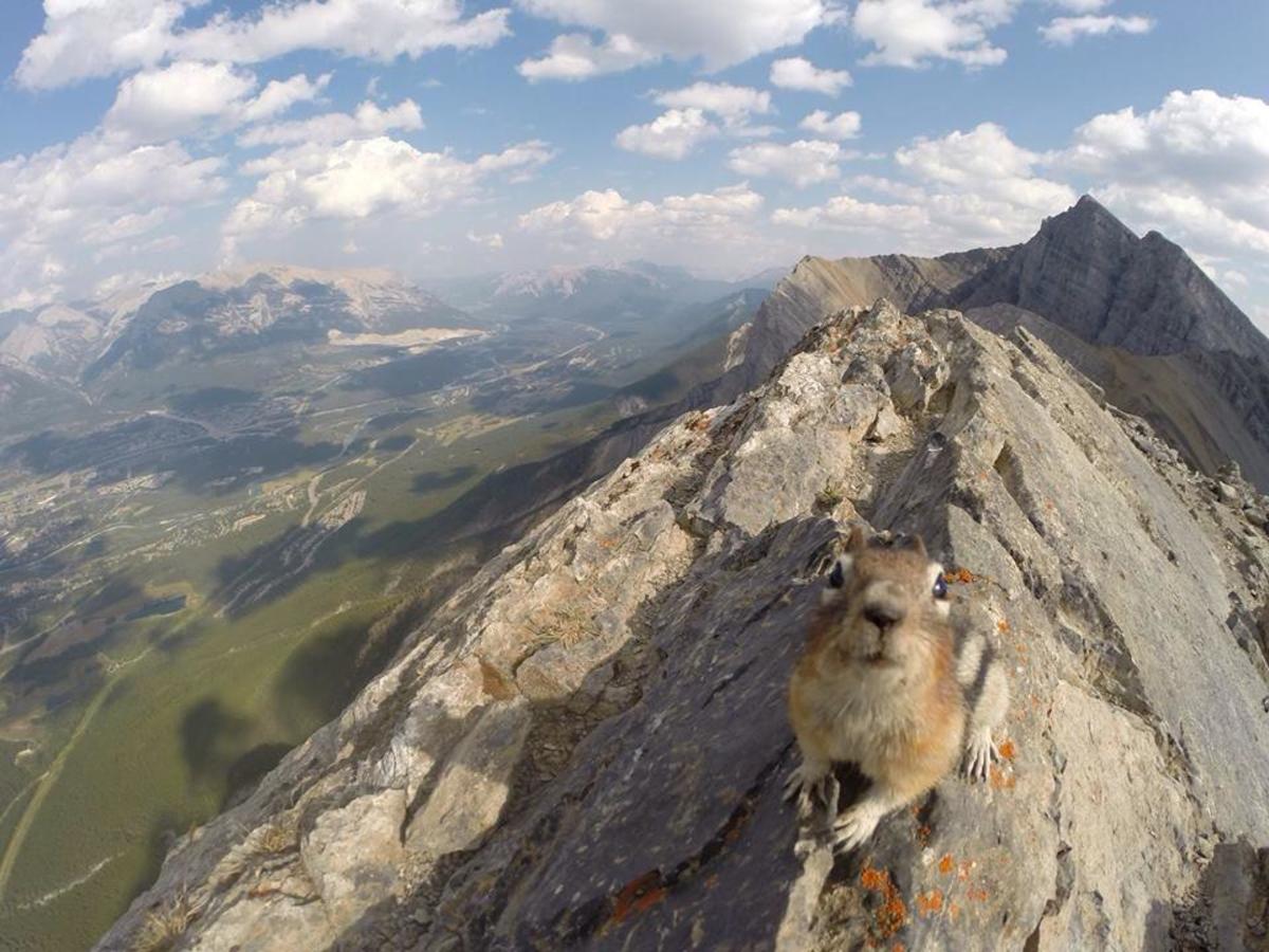 Looking over Canmore atop Ha'Ling ; Photo James