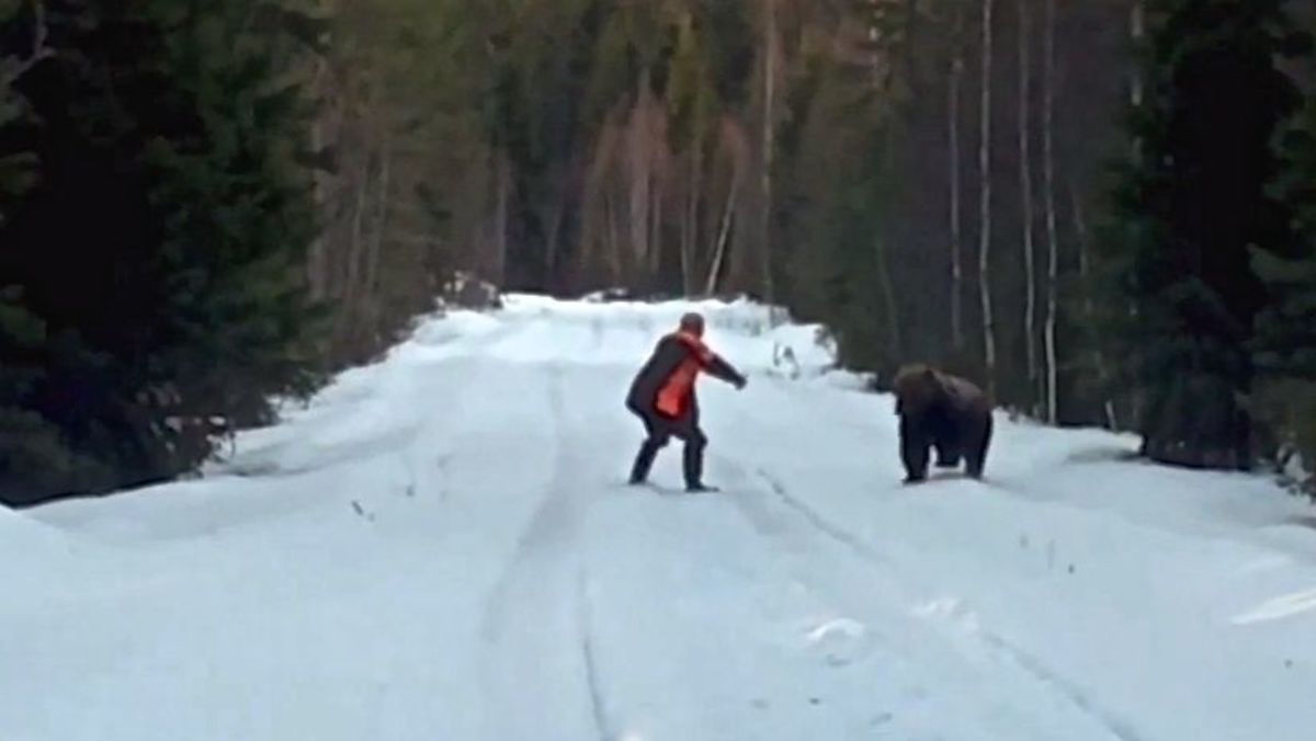Swedish man repels a charging bear while filming the training of a new hunting dog. Photo: Screen grab