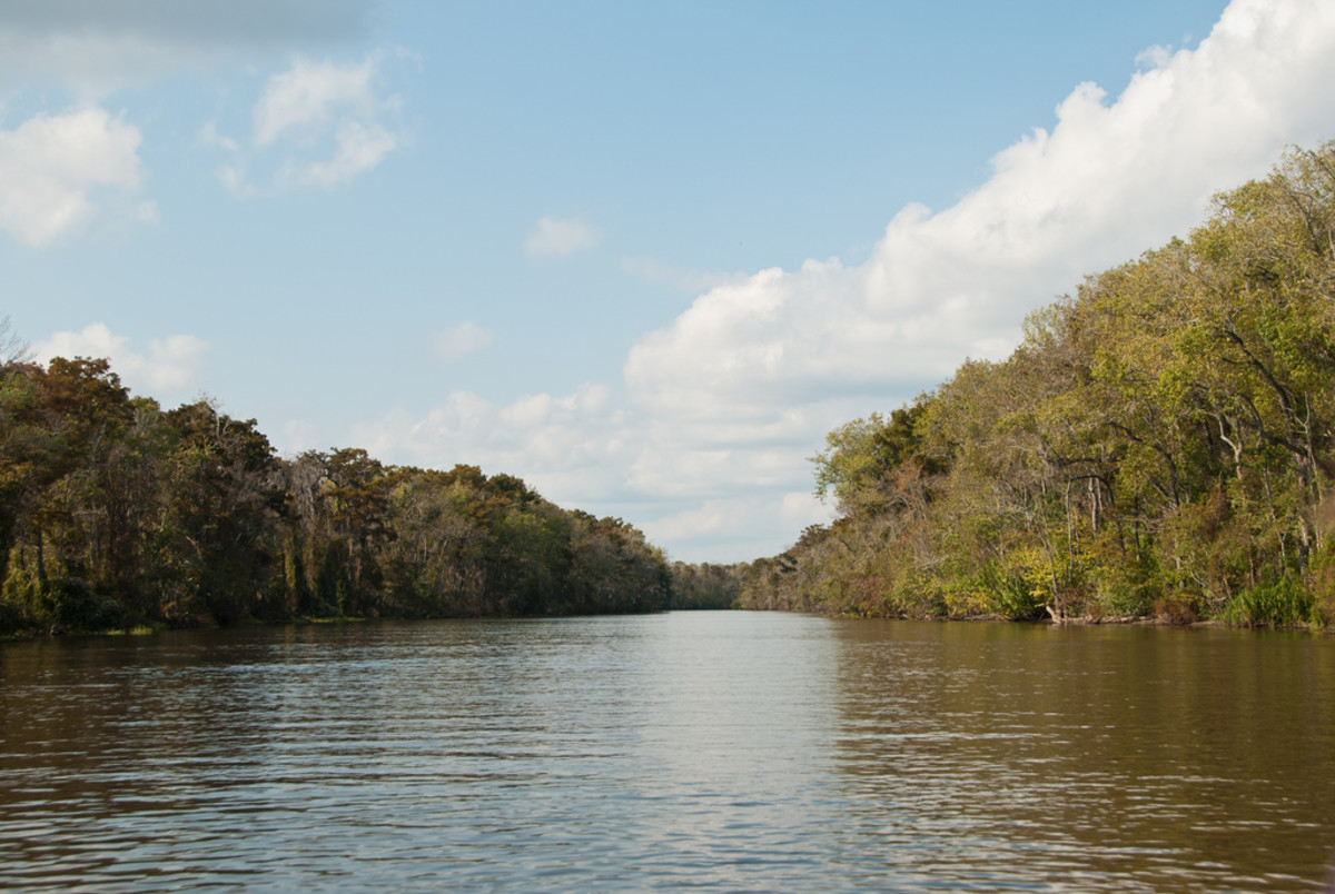 Pearl River Basin Kayak Getaway Escape Louisiana