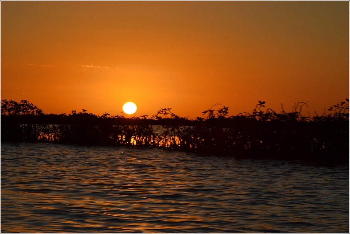 Sian Ka'an Biosphere Reserve Kayak Vacation