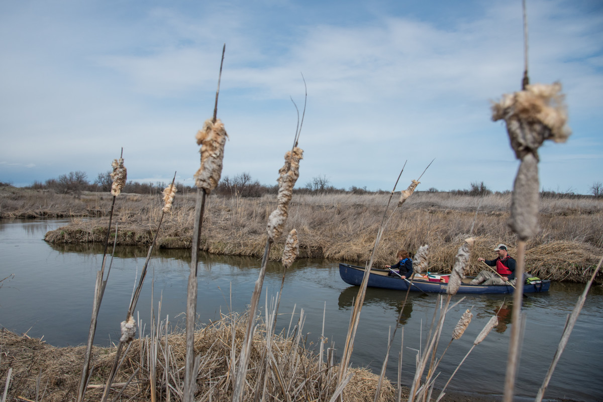 Steve and Will through the cattails.