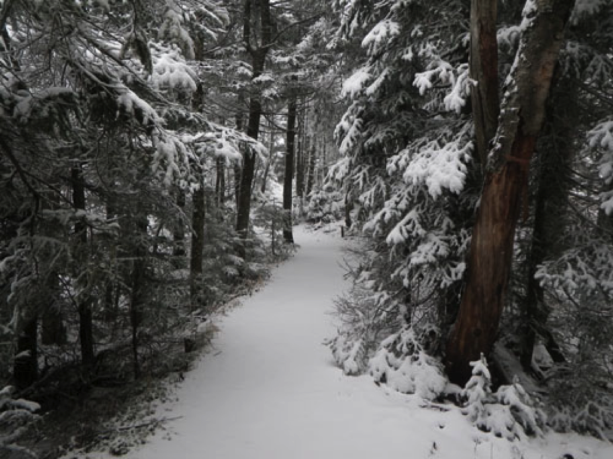 Knowing where the trail is can be the difference in hiking out or spending an unplanned overnighter in the freezing cold.