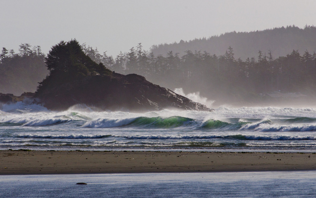 Early morning in Tofino. Photo: Colin Knowles