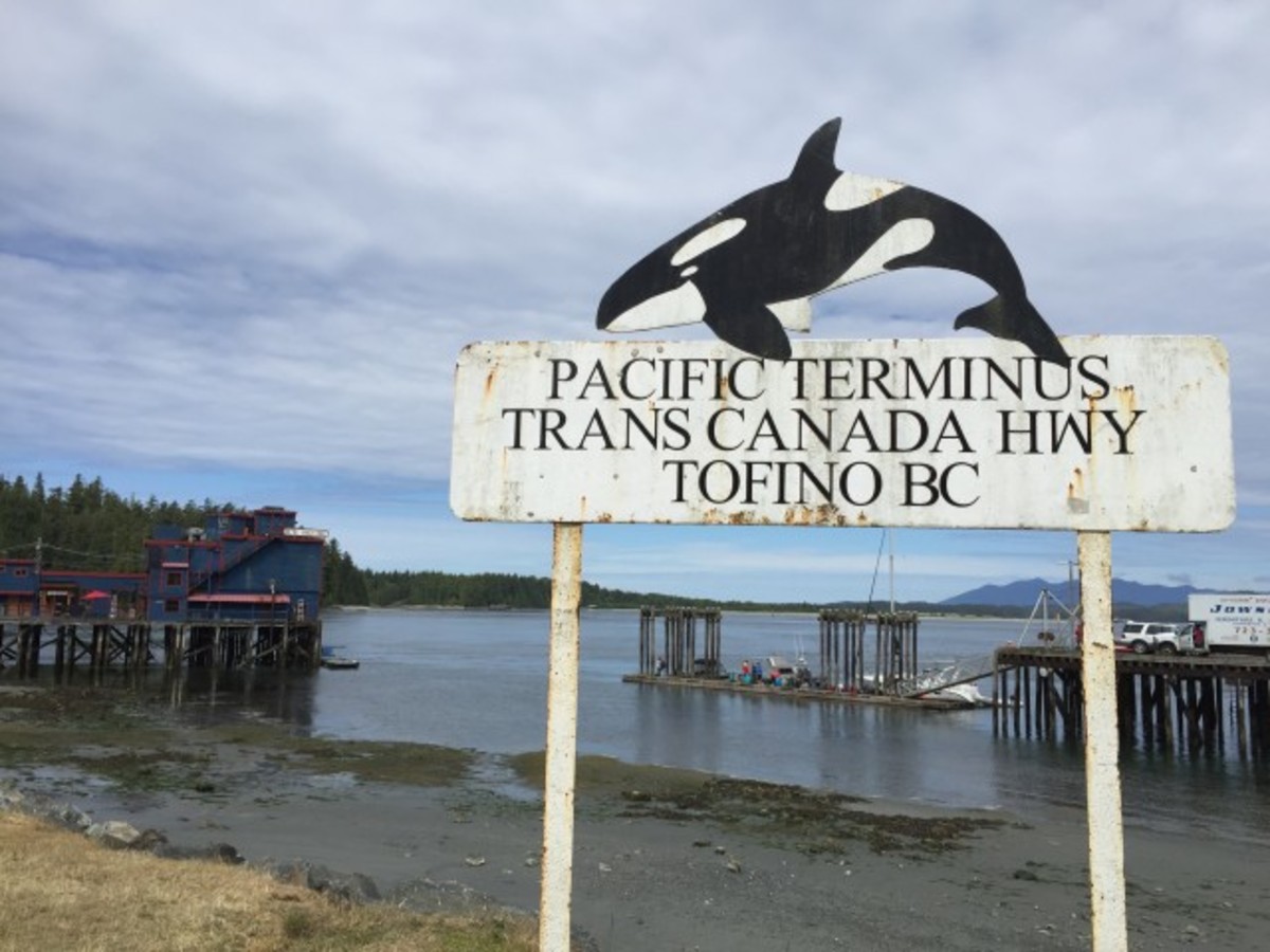 End of the Road. Photo: Heather Hansman