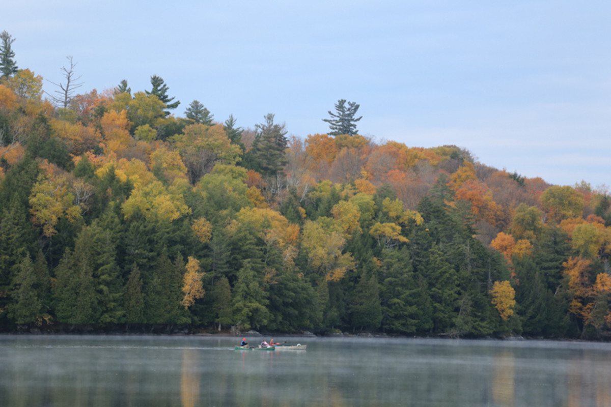 Paddlers enjoy the fall foliage on a misty morning on Middle Saranac Lake.