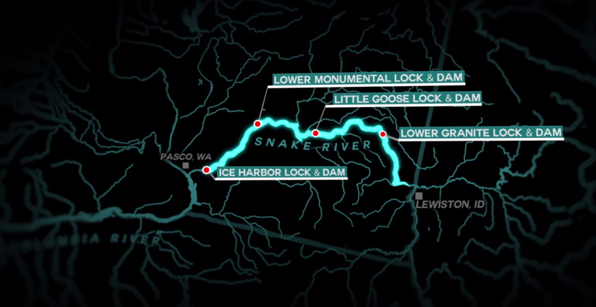 Patagonia's Free the Snake campaign focuses on the removal of four dams along the Snake River.