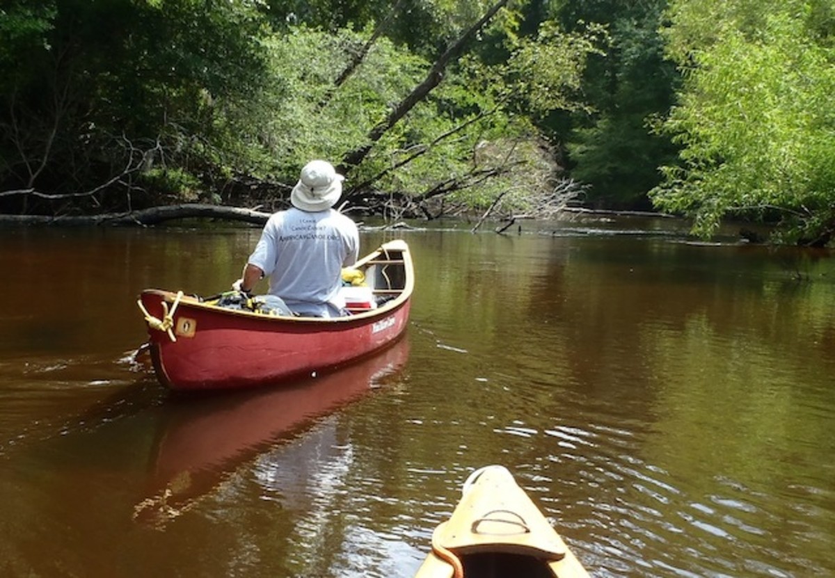 Summer canoeing on the Edisto River, South Carolina. Photo by Burt Kornegay