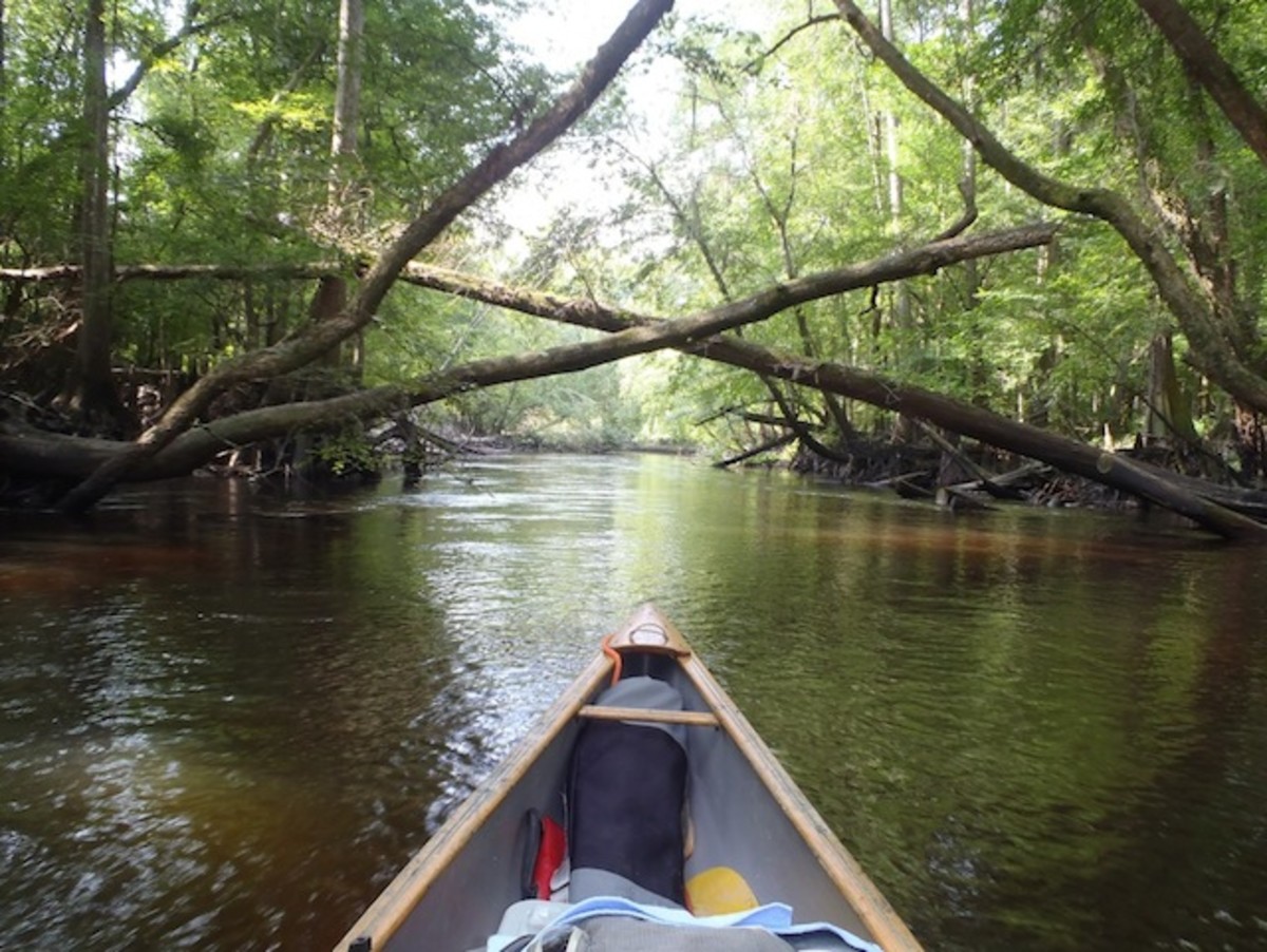 Yes, it was hot. But we paddled in the shade. Photo by Burt Kornegay