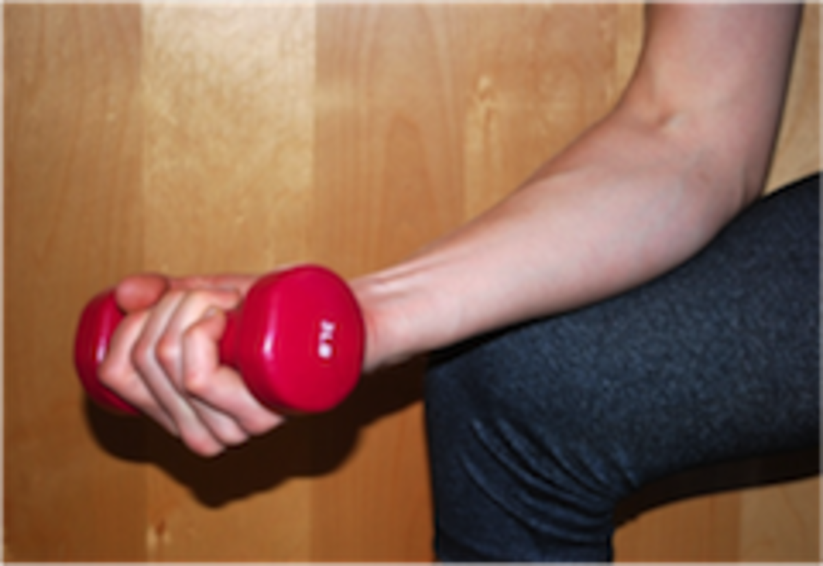 elbow8