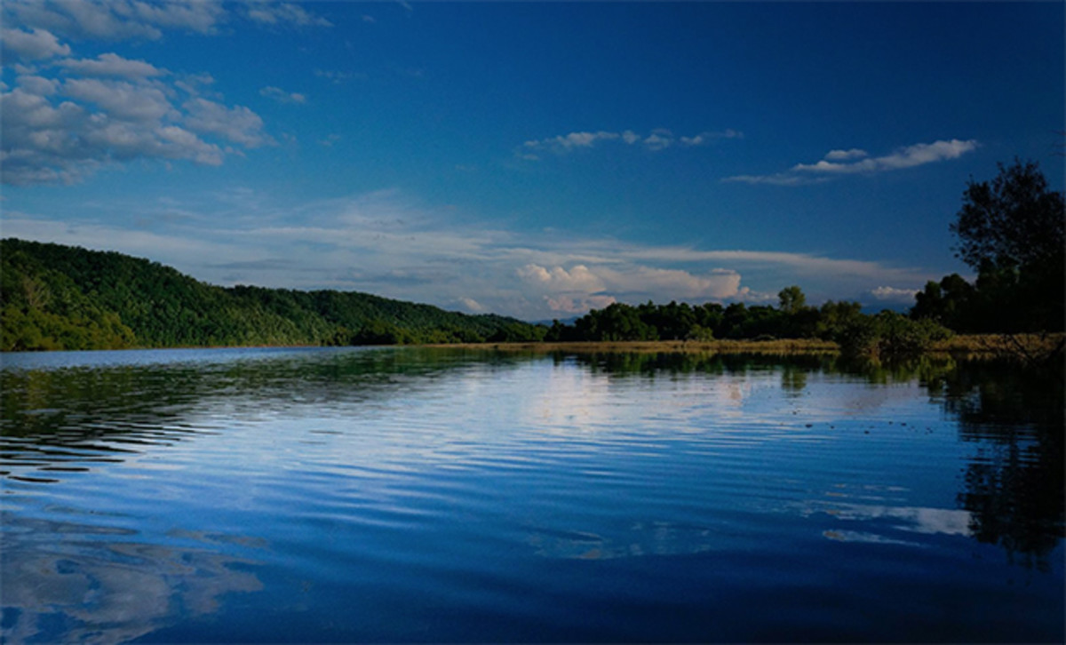 douglas lake
