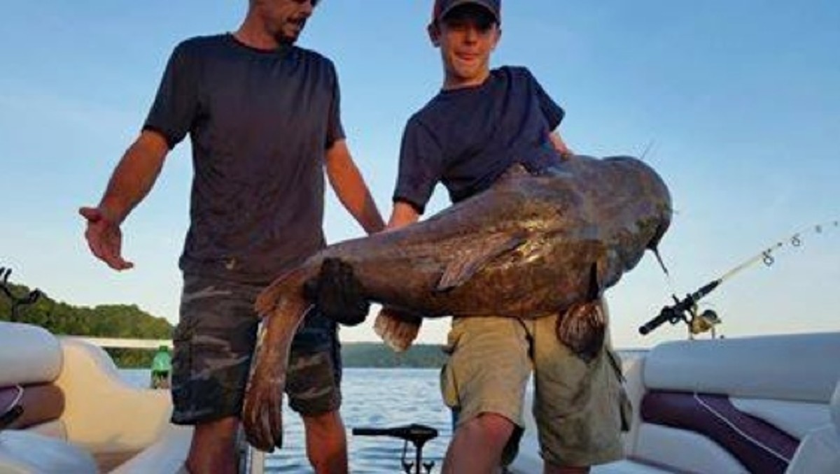 flathead2