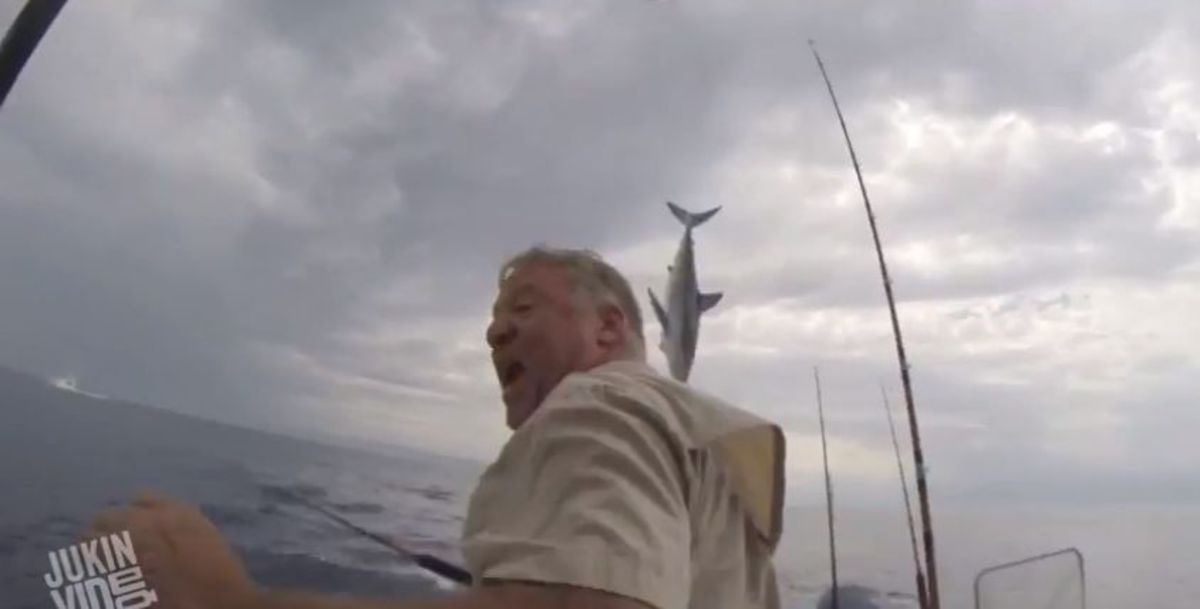 A mako shark very nearly jumped into the boat of two fishermen off Orange County, California. Photo: Screen grab