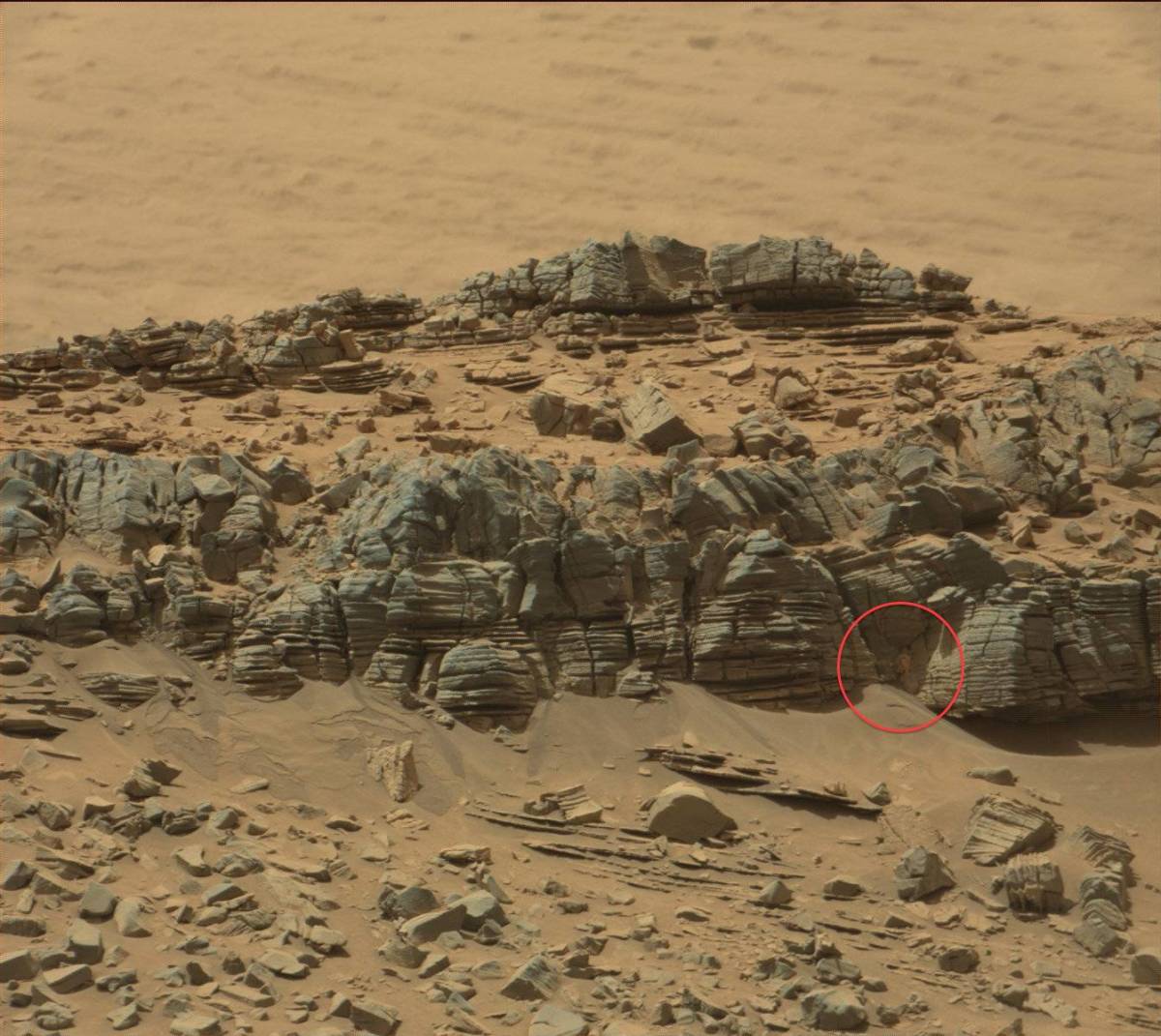 Mars crab