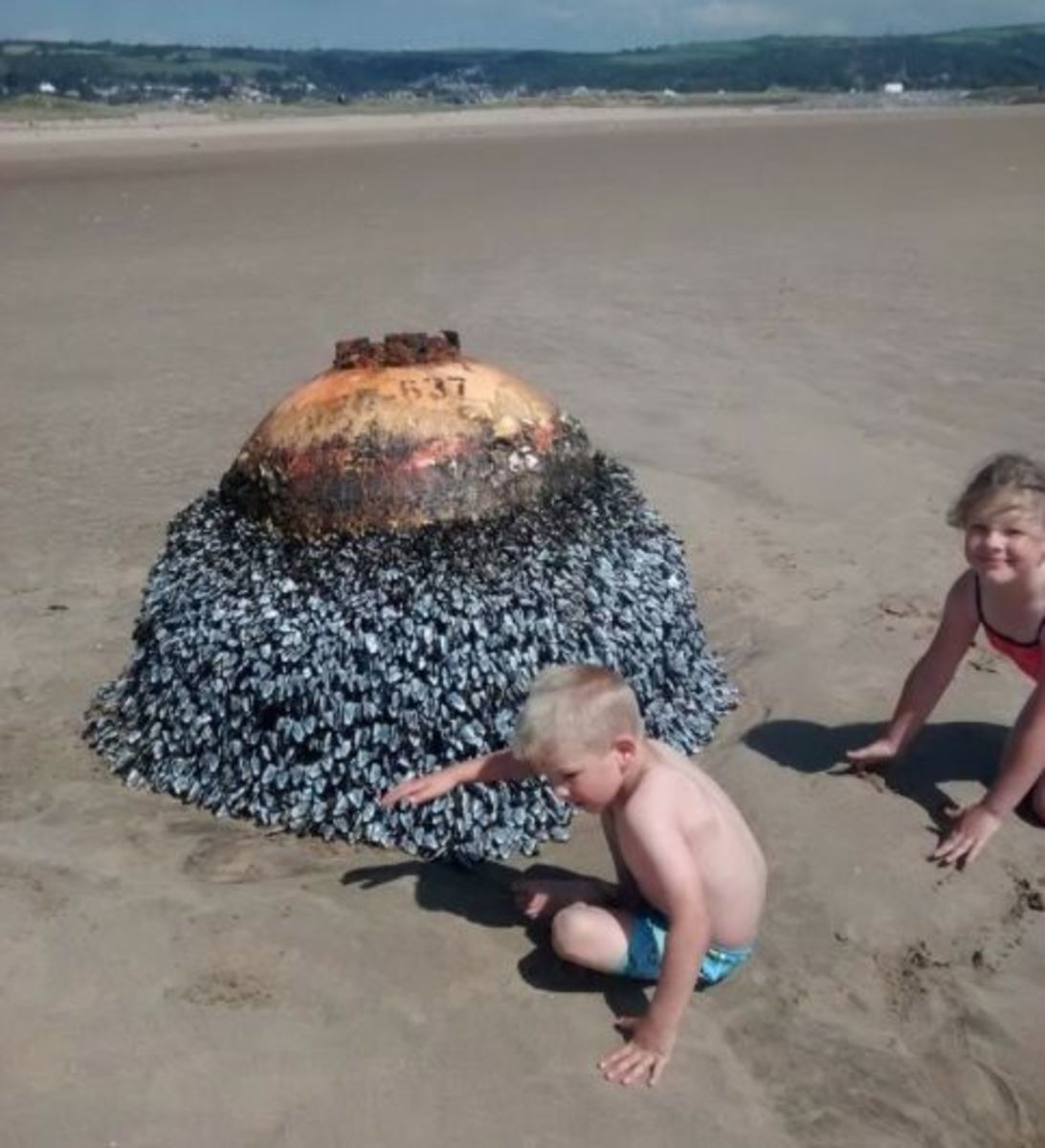 Children of Gareth and Kelly Gravell play around a World War II bomb mistaken for a buoy. Photo: Gareth Gravell