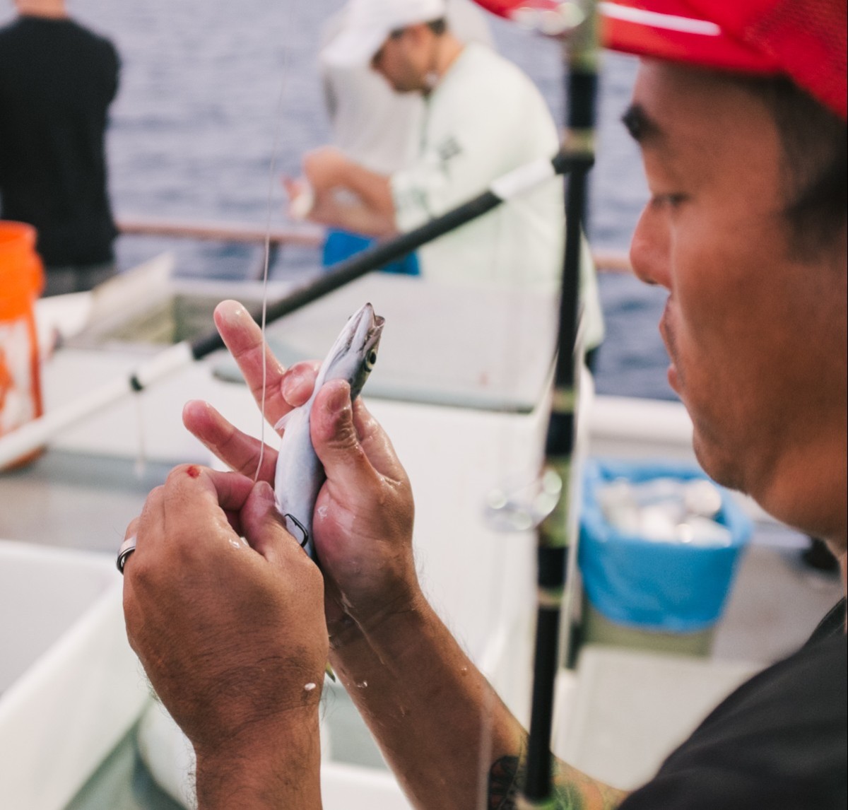 Deep sea fishing charter