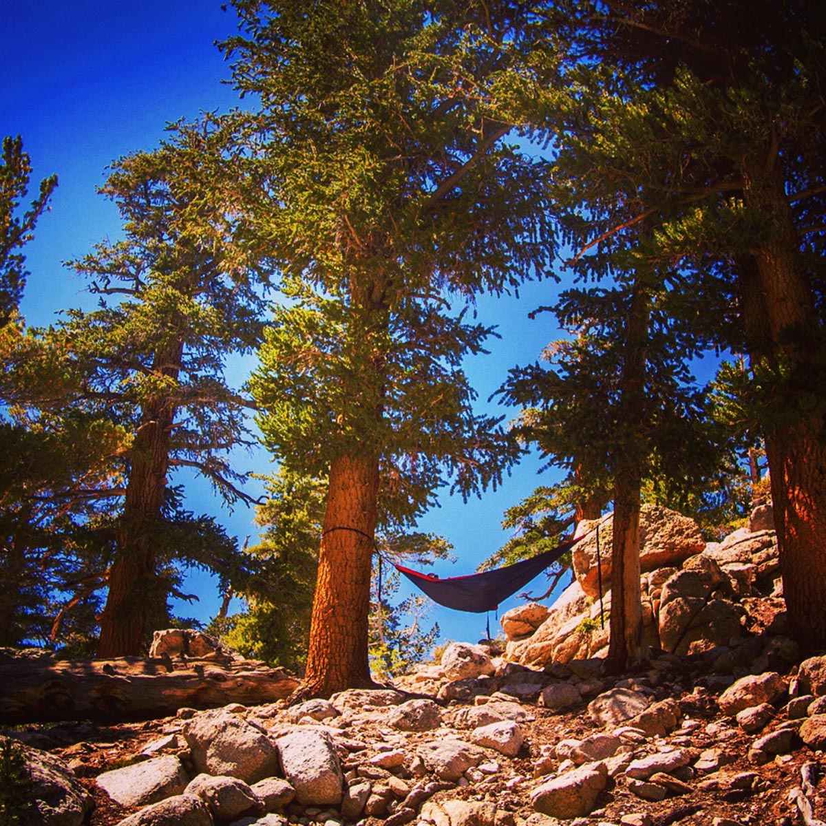 Strodel says it's easy to lose half a day in the Eastern Sierras once you slip into a hammock. Courtesy of @HammockLiving