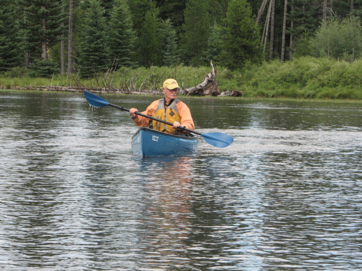 next paddle