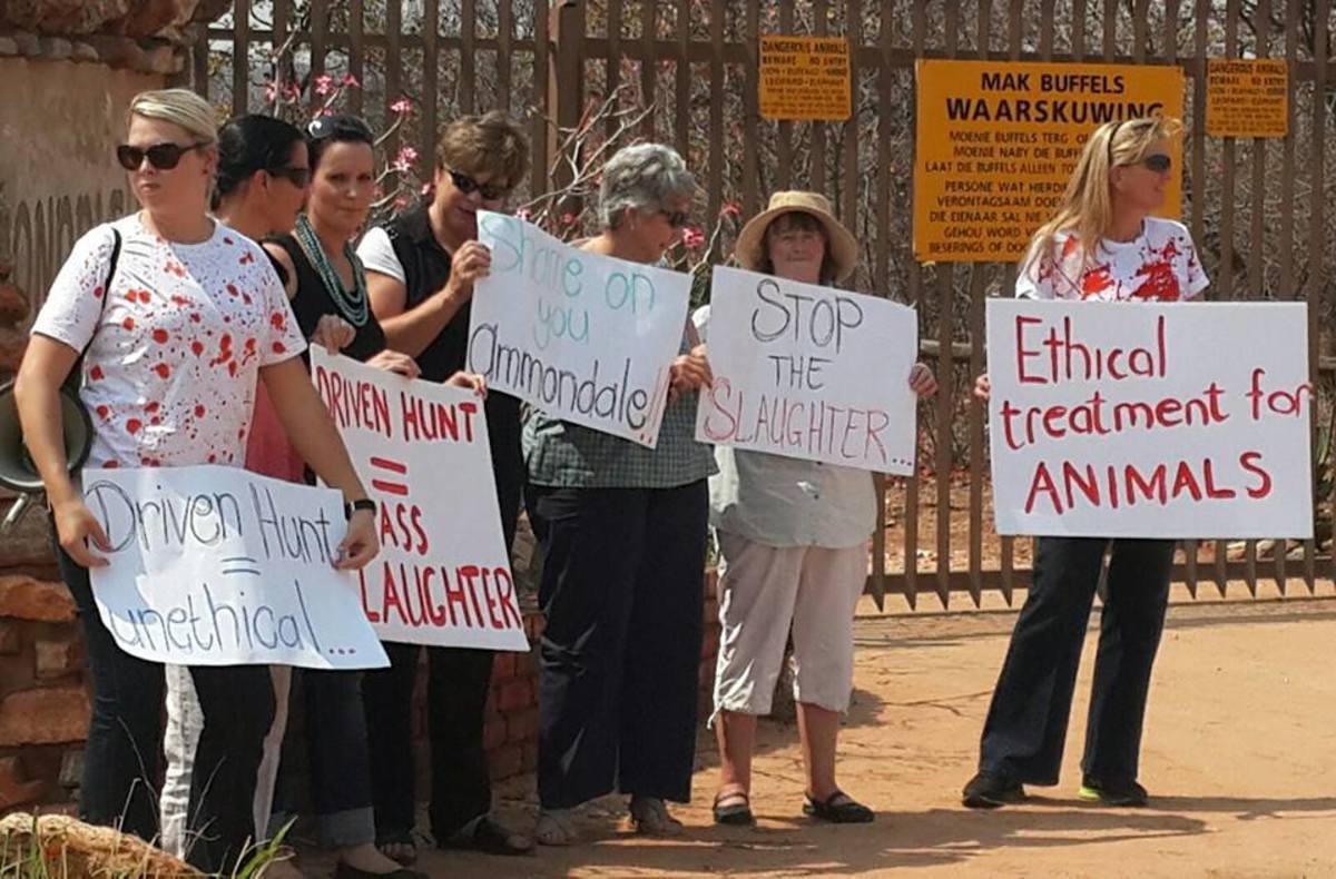 Protestors greeted hunters daily at the gate to the driven hunt. Photo: Wild Heart Wildlife Foundation