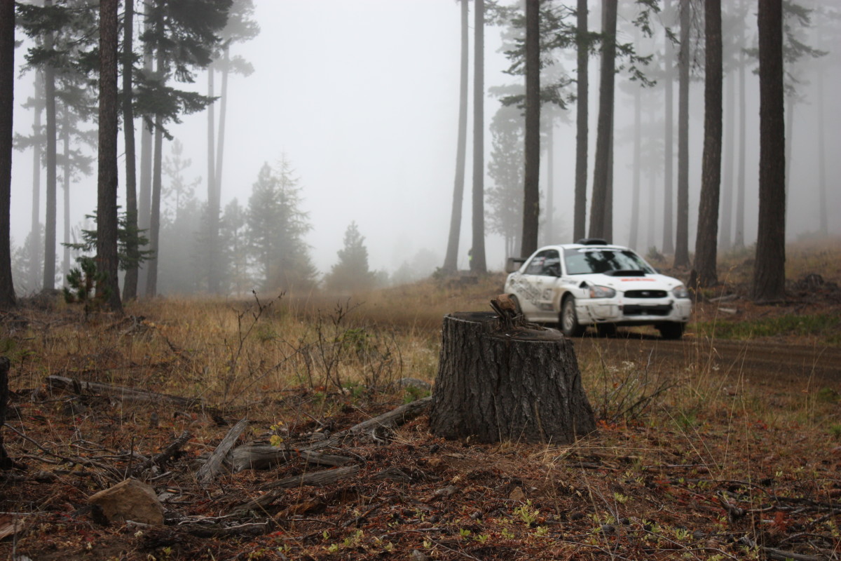 Rally Car Race Toyota