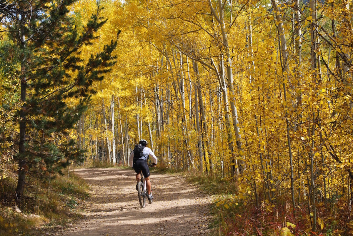 Mountain Biking in the Aspens, Santa Fe National Forest