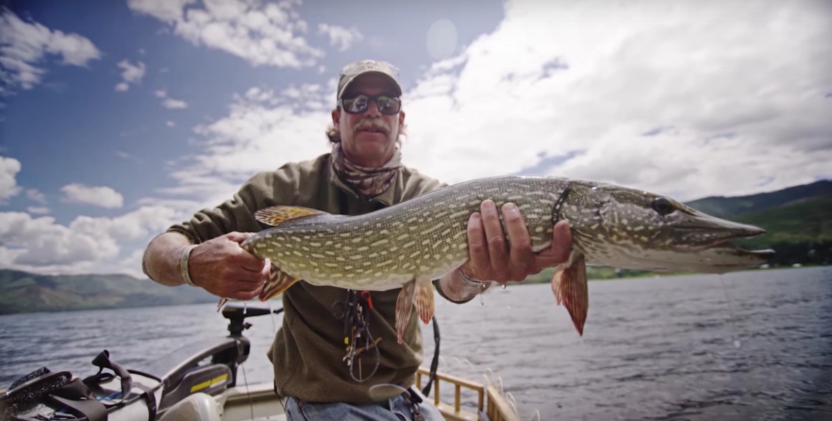 Mark Engler fly-fishing