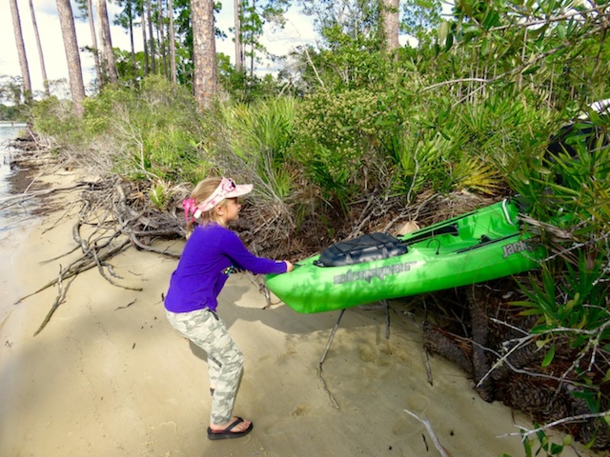 Hannah has no trouble pulling the Jackson Skipper through the palm scrub. Photo Jerry McBride.