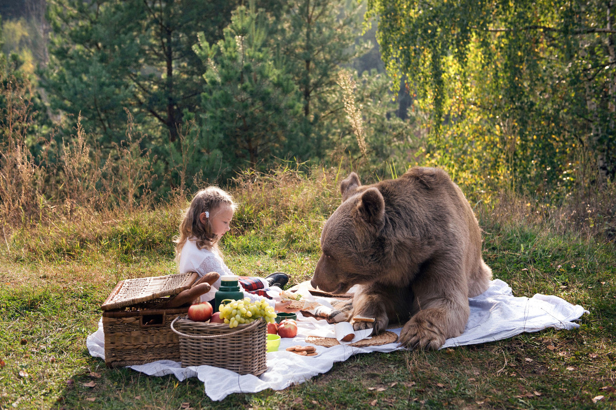 The grizzly bear is not interested in meat since it grew up as a vegetarian. Photo: Caters News