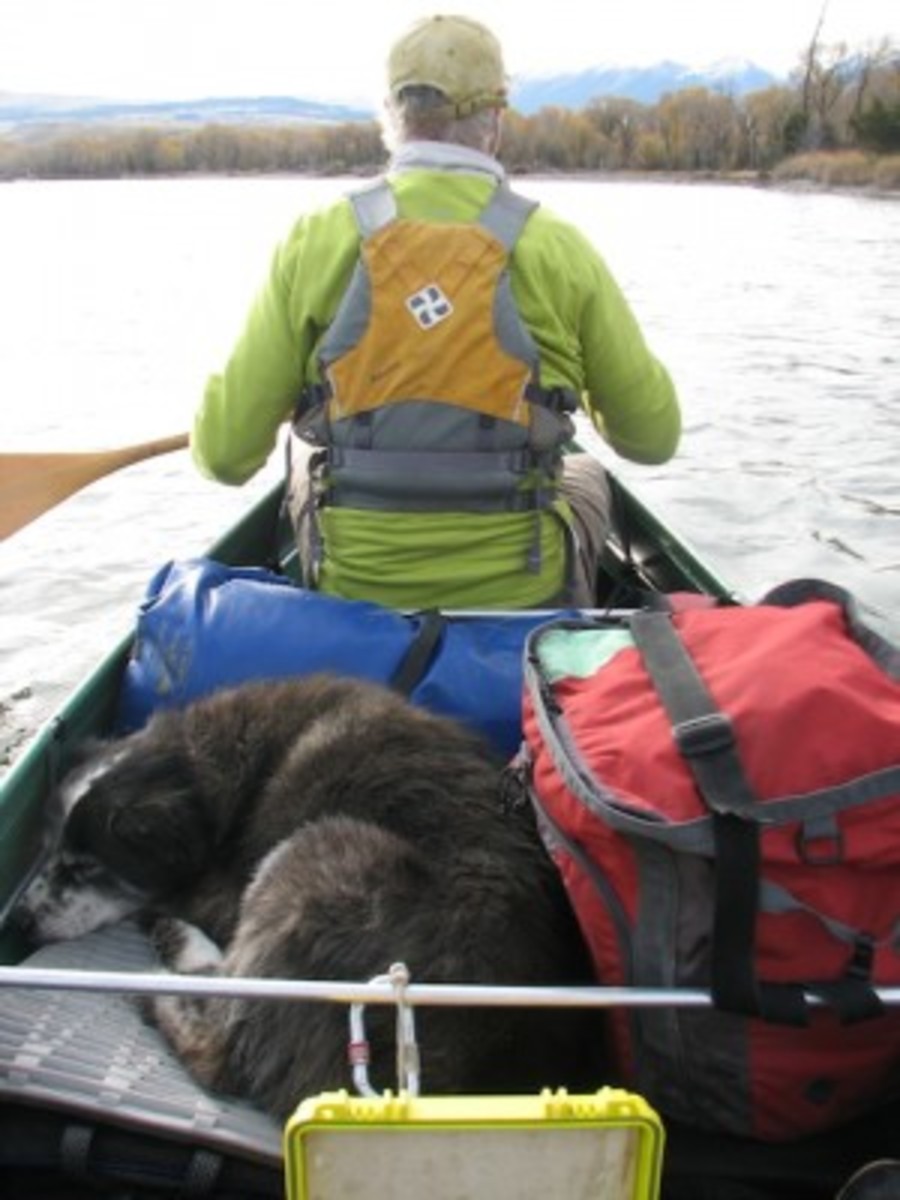 Ally Canoe Review